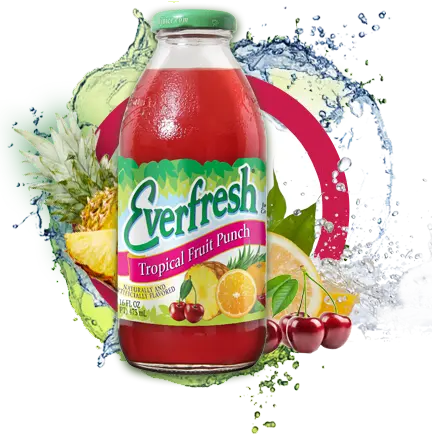 EF Fruit Punch 12/16fl.oz. 