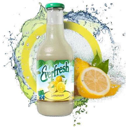 EF Lemonade 12/16fl.oz. 